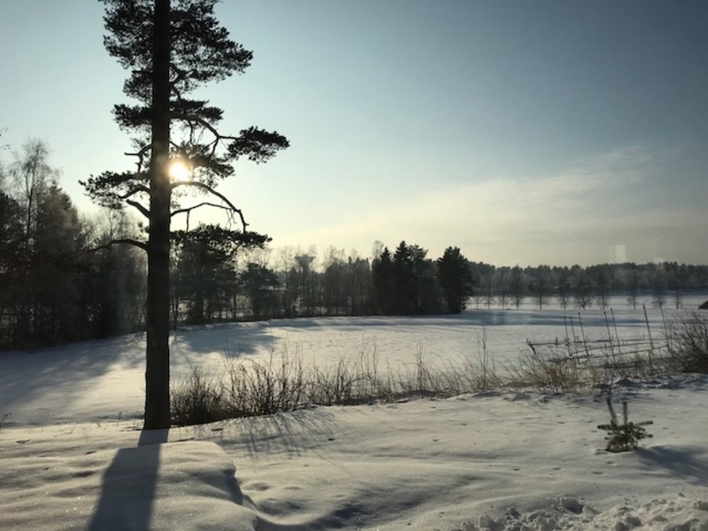 Winter view from the house.