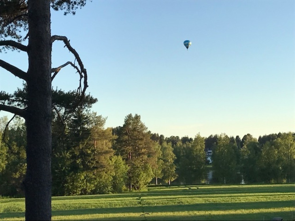 Daytime view during summer.