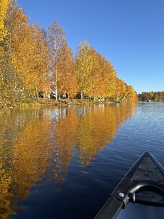 Oulujoki durign autumn, seen from our canoe.