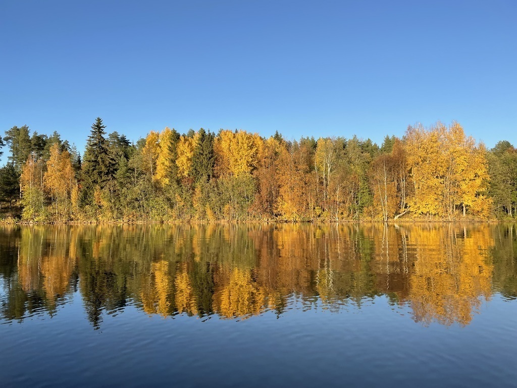 Oulujoki durign autumn, seen from our canoe.
