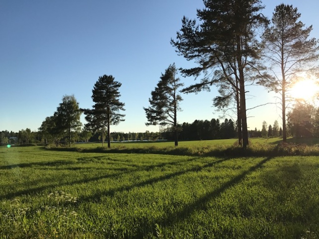 Fields by the river.
