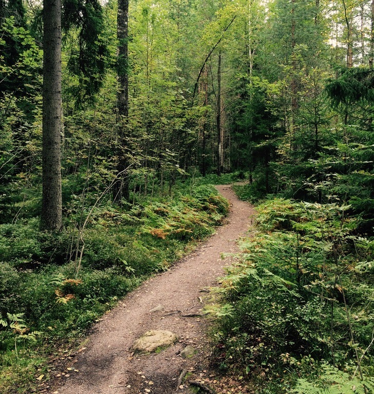 Helsinki Central Park