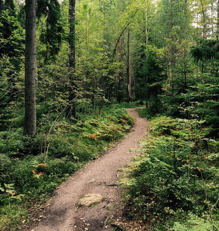 Helsinki Central Park