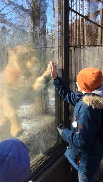 High five with a lion at Korkeasaari Zoo