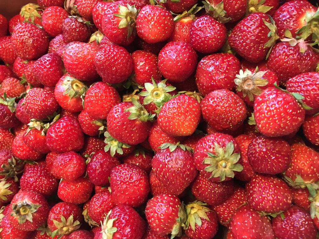 Finnish strawberries are the sweetest in the world