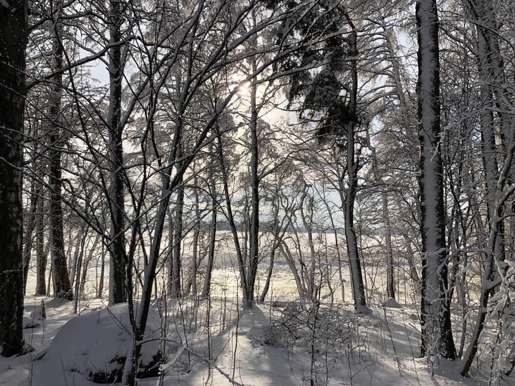 Winter sun in Helsinki