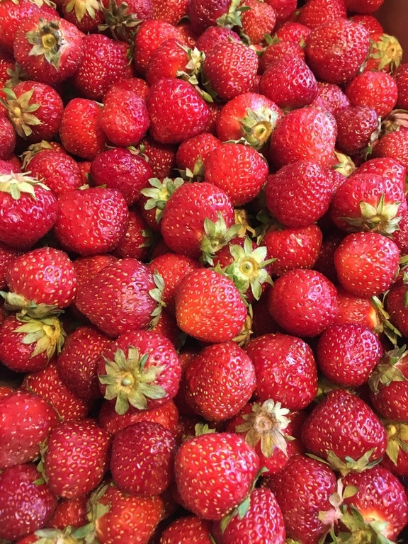 Finnish strawberries are the sweetest in the world