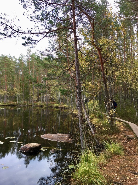 Hiking in national park Nuuksio