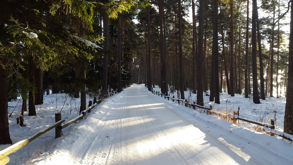 A lovely road to walk, less than 1 km from my home.