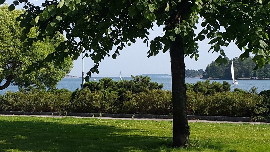 Less than 30 steps from my home.