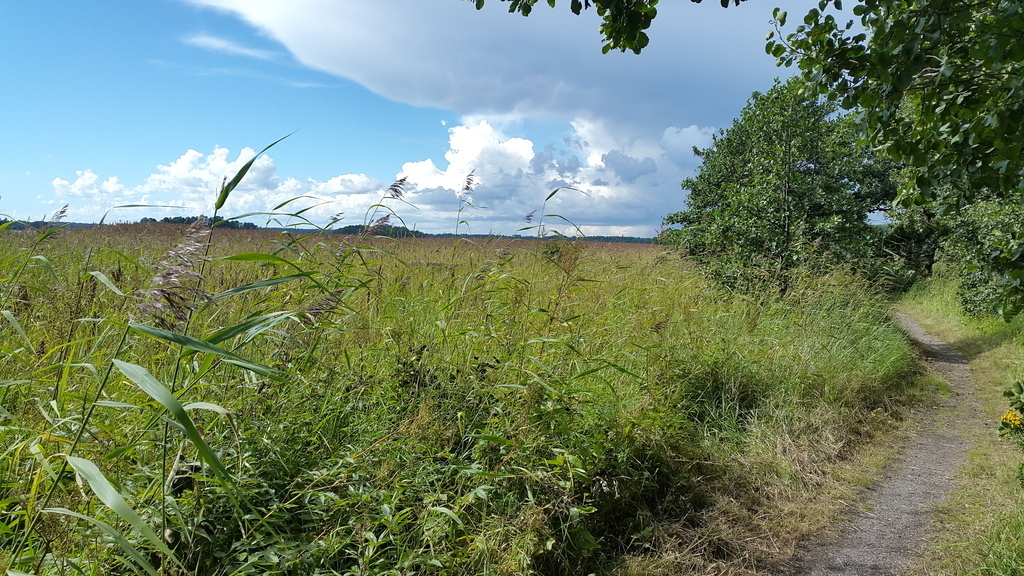 Kallahti nature trails