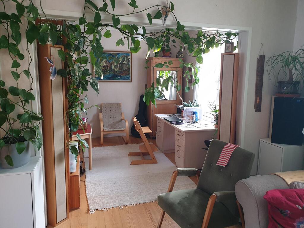 Our study with a computer and internet.