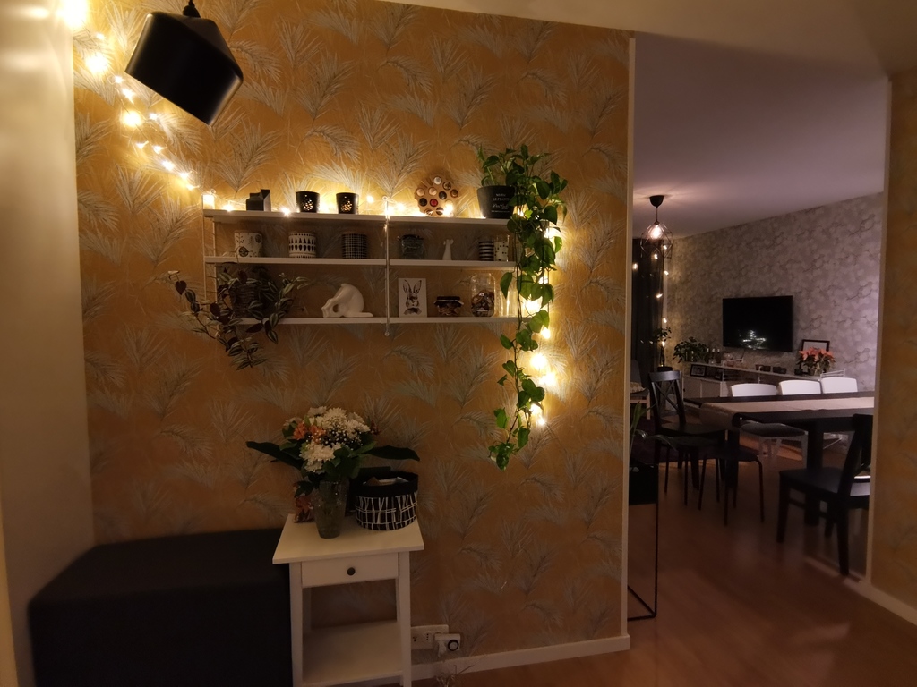 Hallway towards the livingroom. 