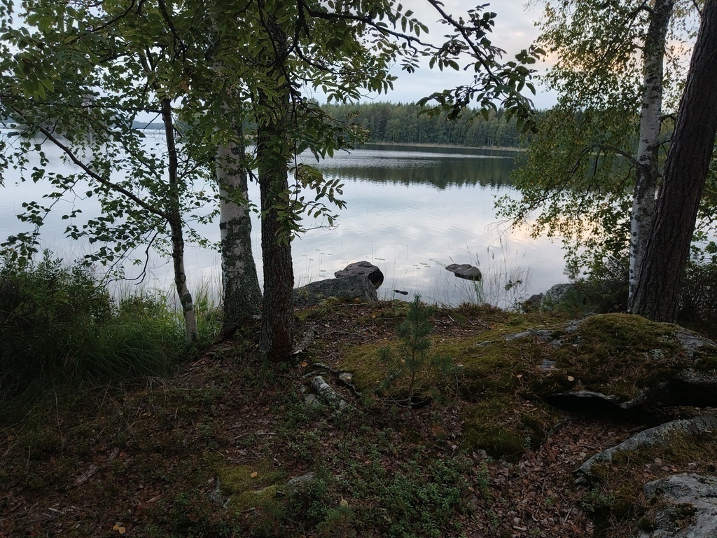 The view to the lake