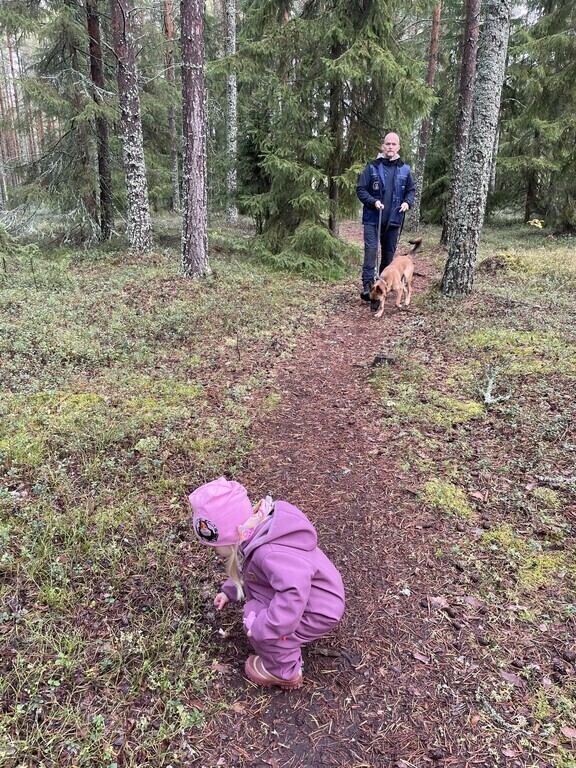 The hikingpaths in our Woods close by