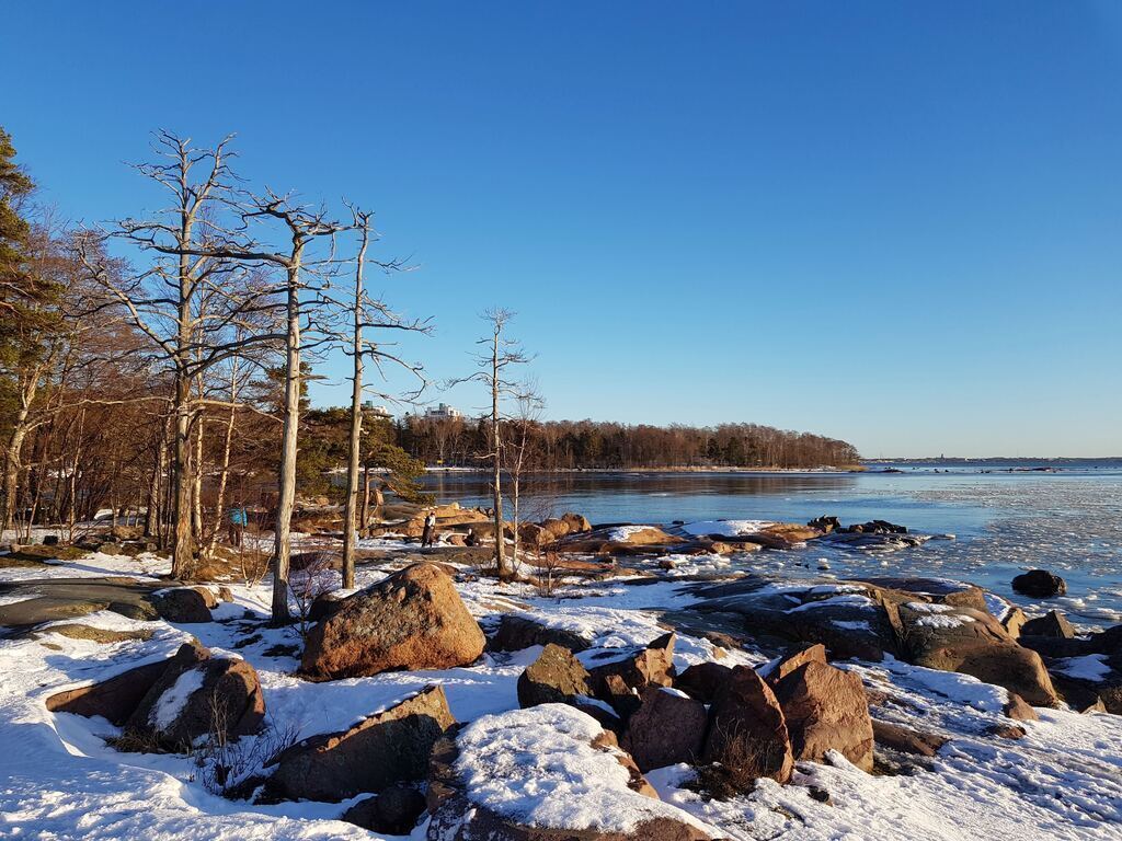 Lauttasaari