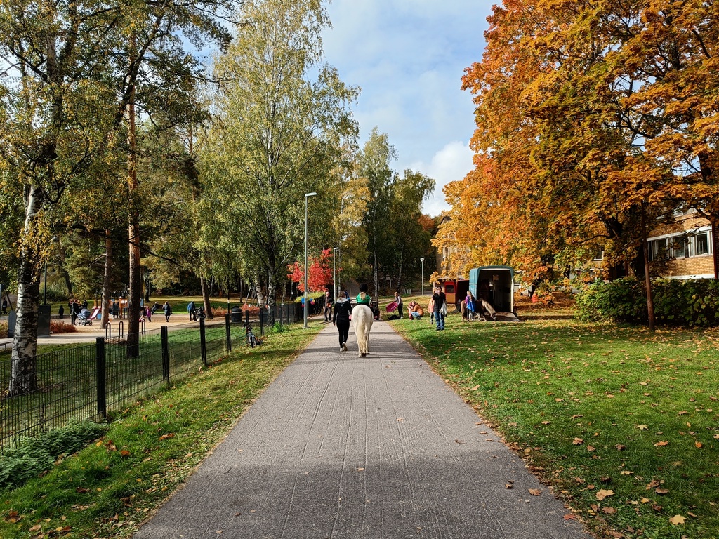 Autumn colors and pony rides in Haaga