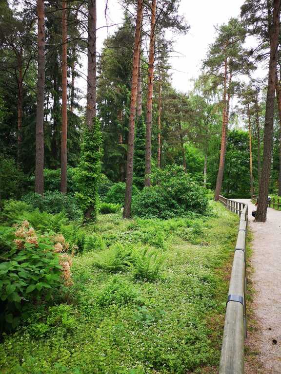 Rhododendron Park, Haaga (off season)