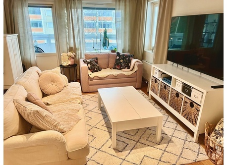 Livingroom is beside the balcony, other sofa has a bed in it too.