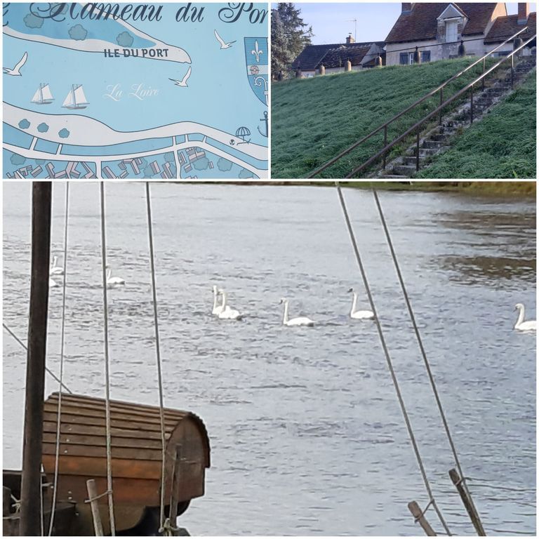 Saint benoît sur Loire - le vieux port . A proximité petite plage avec plaine de jeux / Saint Benoit sur Loire - the old port. N