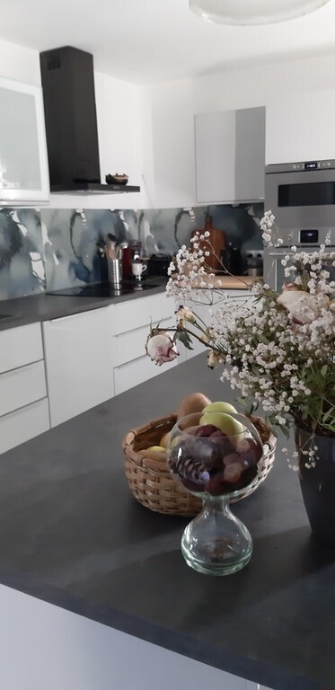 cuisine équipée - lave-vaisselle- cuisson vitrocéramique - frigo - petits électroménagers/ fitted kitchen - dishwasher - ceramic