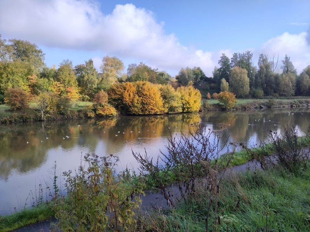 canal à Pont-à-Celles (Viesville)