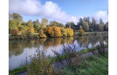 canal à Pont-à-Celles (Viesville)
