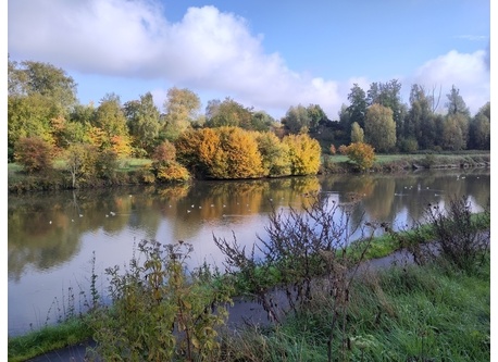 canal à Pont-à-Celles (Viesville)