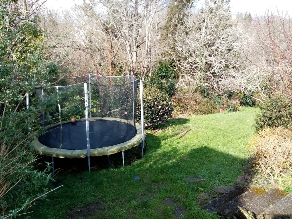 Garden with trampoline