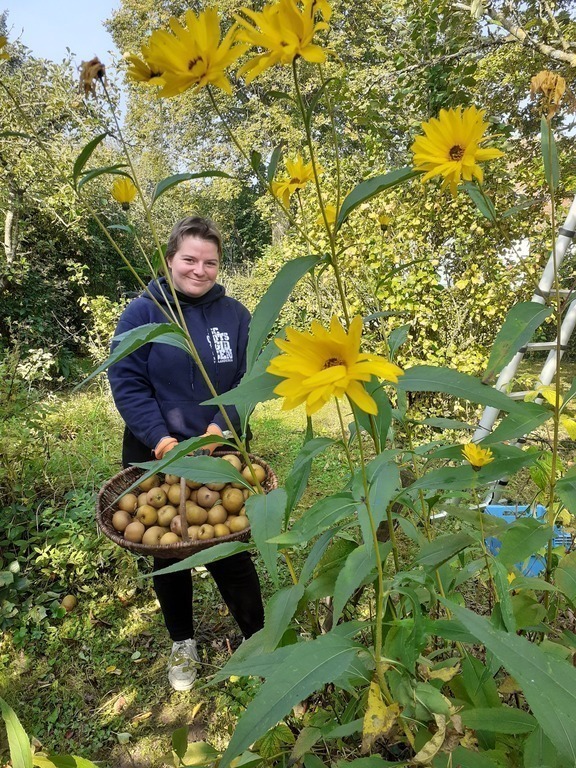 Jaarlijkse appelpluk in onze tuin
