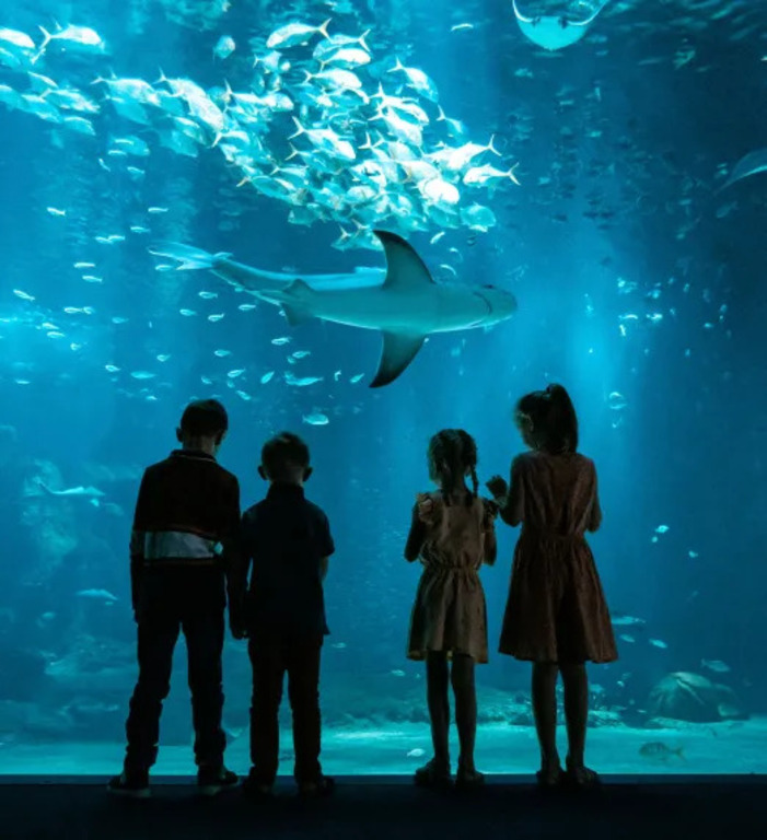 Nausica - Boulogne-sur-mer - 35 minuten rijden