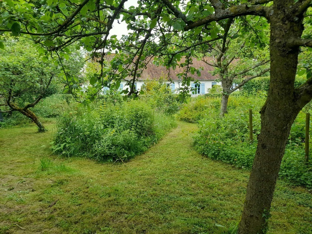 tuin met bessenweide