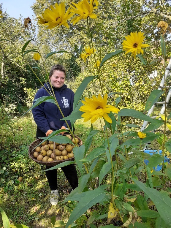 Jaarlijkse appelpluk in onze tuin