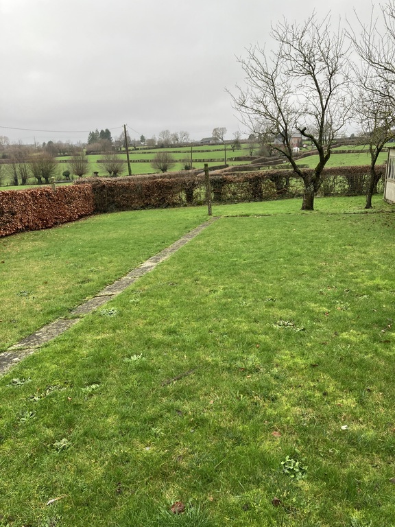 Garden in front next to the house