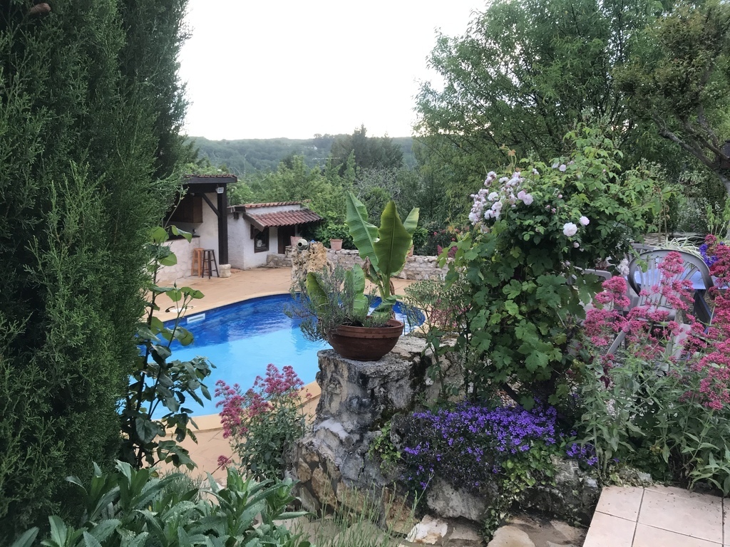 Jardin et piscine 