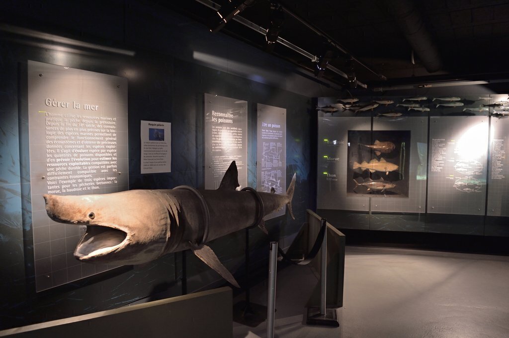 Marinarium Concarneau