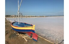 Saline Gruissan 