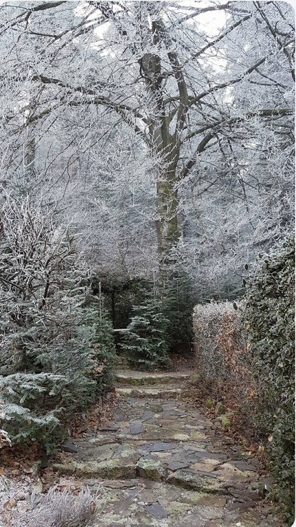 Der Weg zu unserer Gartenlaube, diese ist unter einer uralten Buche. Im Sommer ein schönes, schattiges Plätzchen für einen Na...