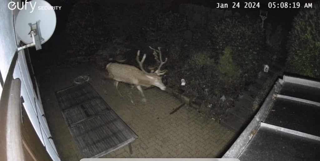 Unser nächtlicher Gast im Winter