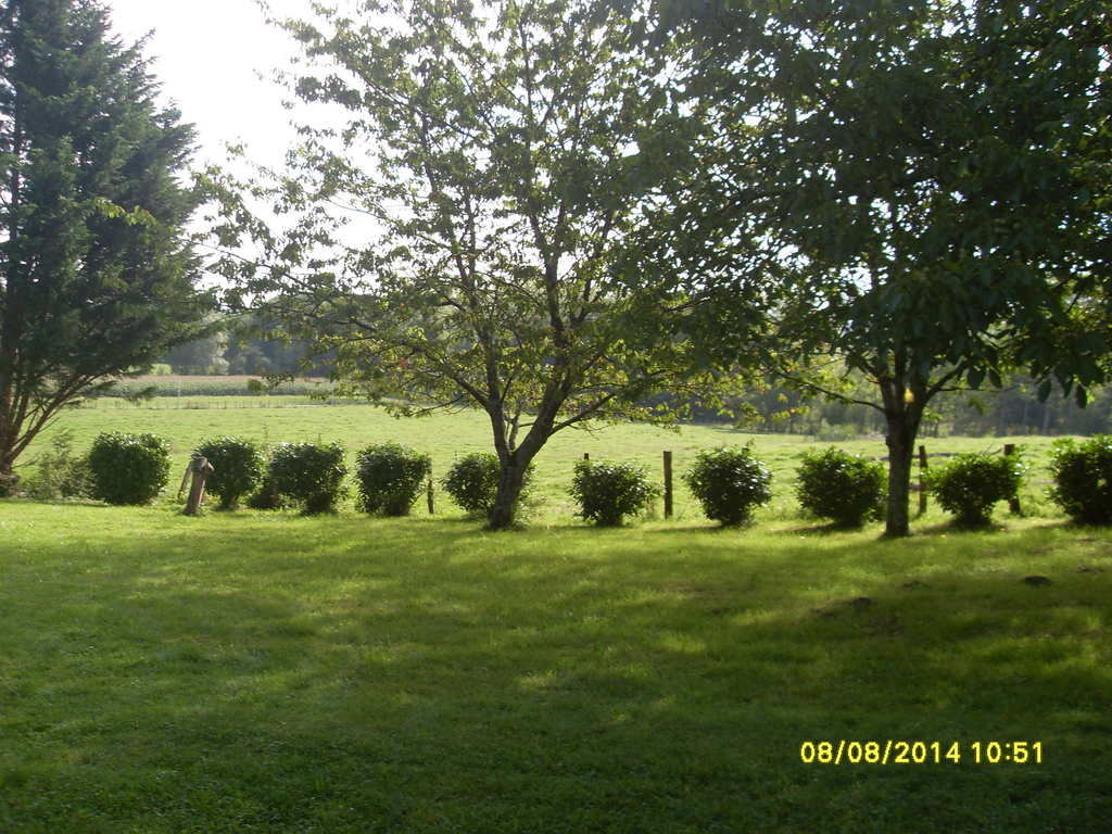 Grundstück- terrain and view from the terrasse