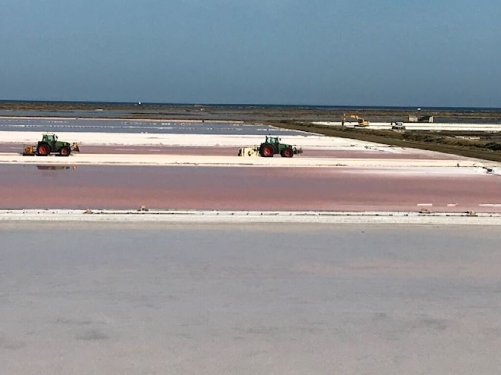 Les salines Gruissan