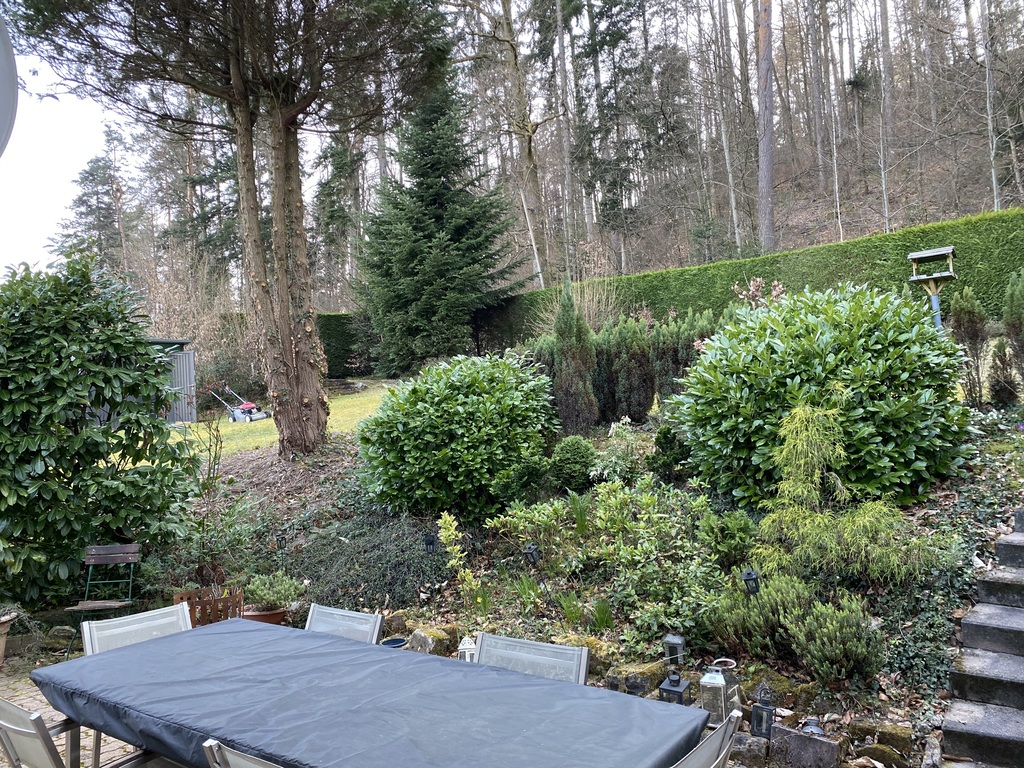 Blick vom
Esszimmer 