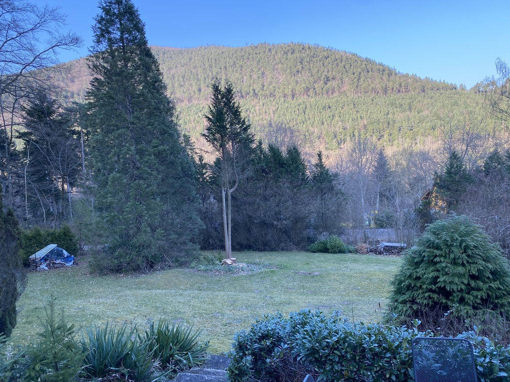 Blick vom Wohnzimmer auf das Grundstück