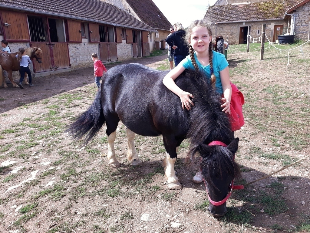 centre équestre à 6 km