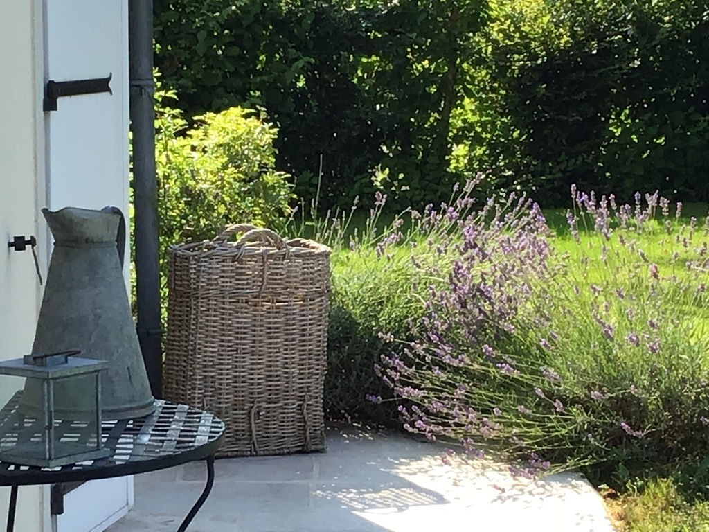 lavendel & décoration at the front door