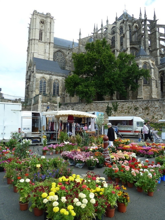 Flower market below the cathedral 