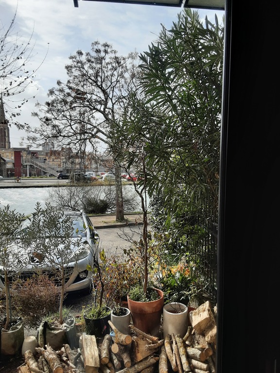 View from the living room 