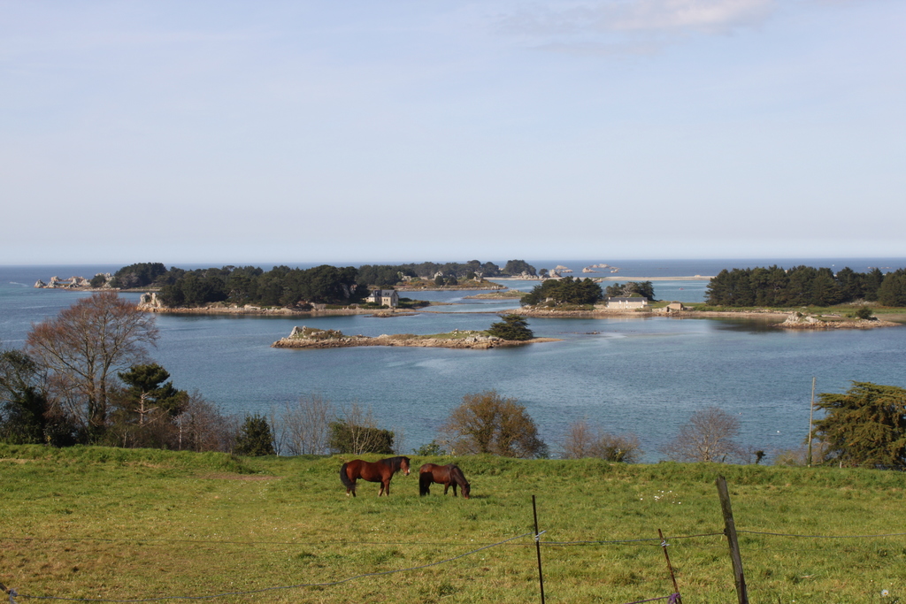 200 meters far from house, , photo  over the bay 