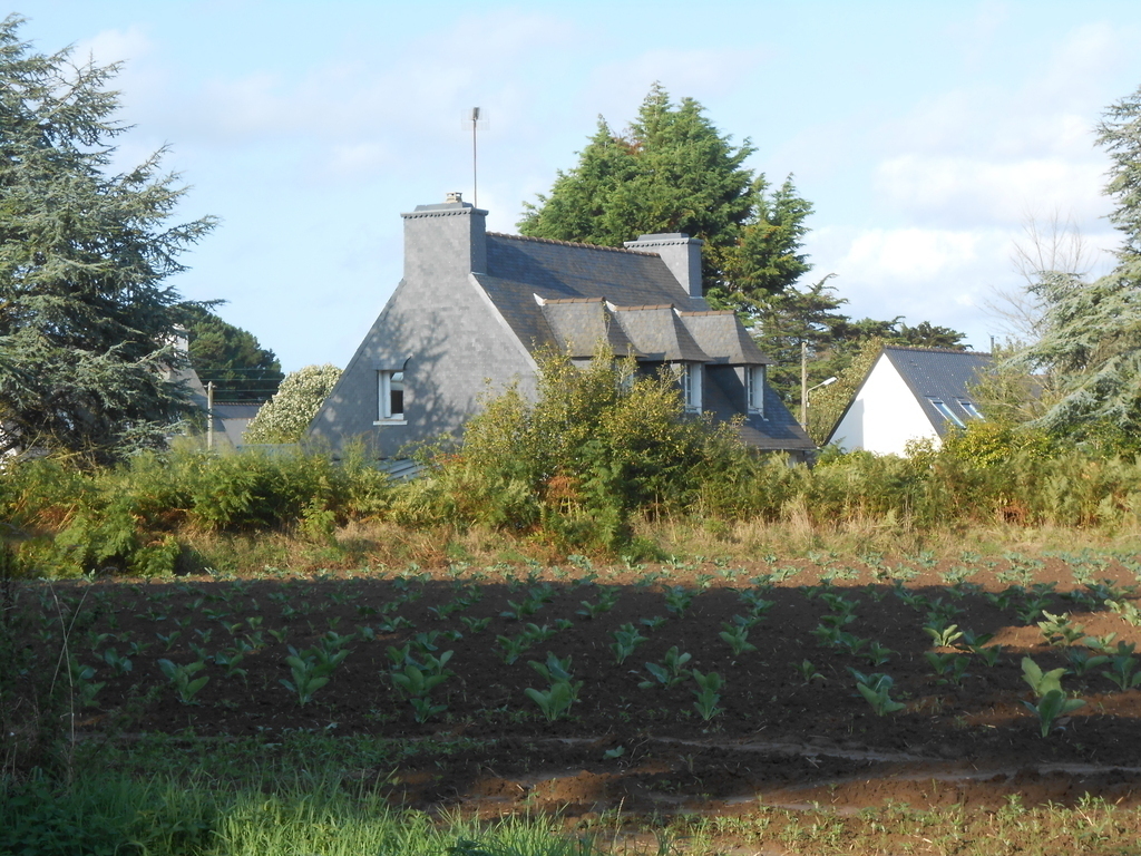our house from the street