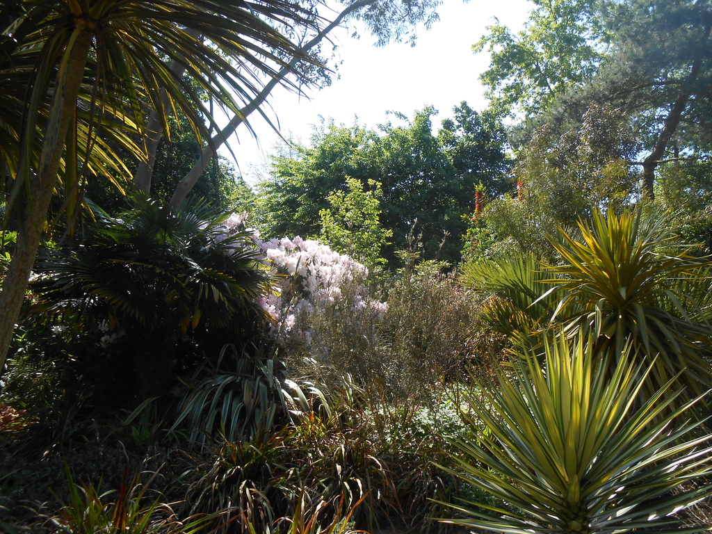 exotic garden of Pellinec , walking distance